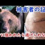 東北各県　日本中の動物愛護団体やらなにやらから「クマを駆除するな」と叩かれまくる事態に　ニュースにより増加